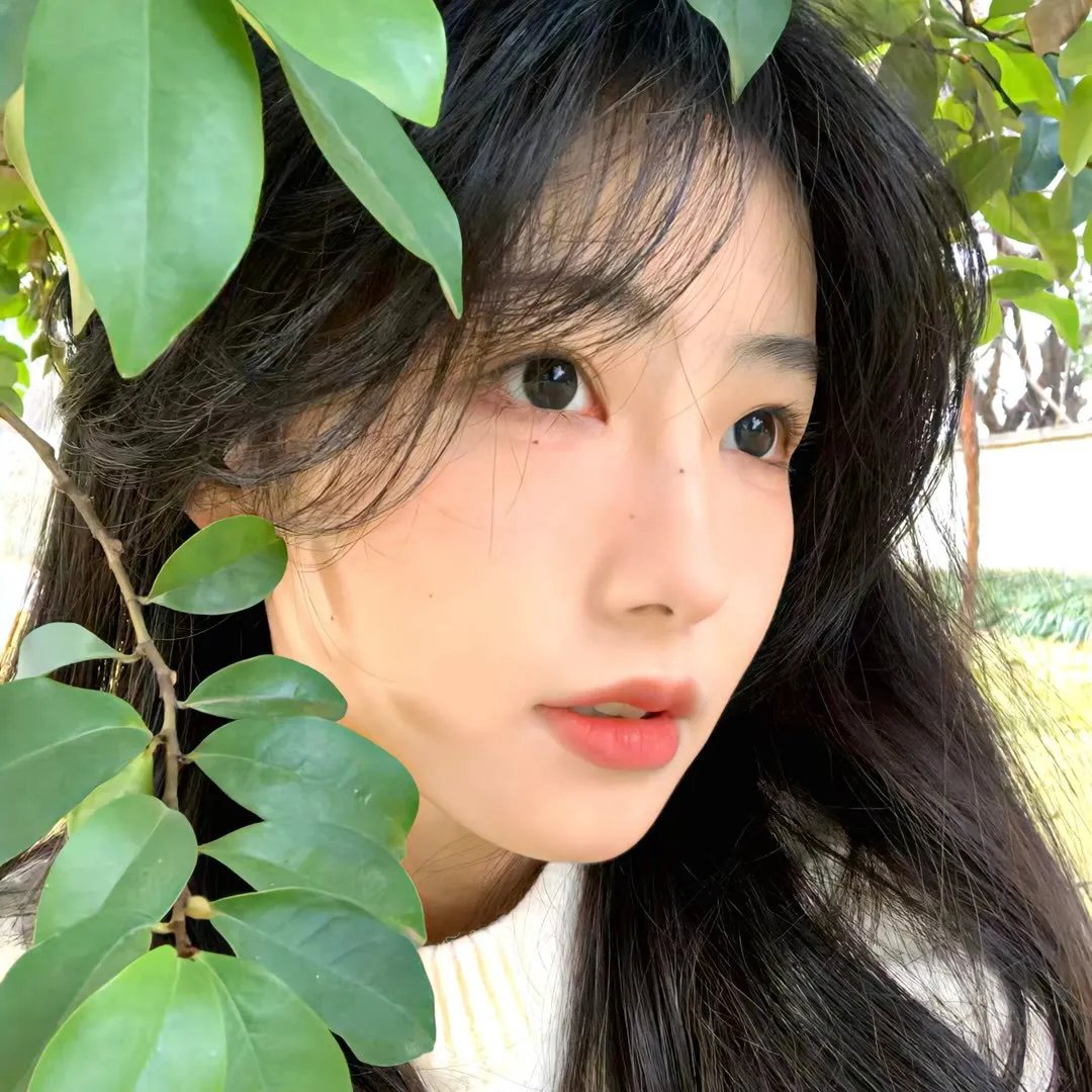 花开有时颓靡无声