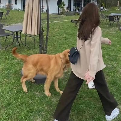 超级查理
